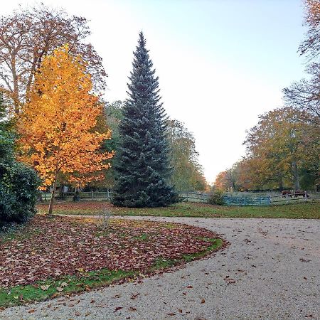 Chambre Sixties Lingevres Экстерьер фото